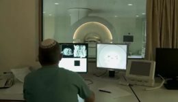 Image of Insights into the Brain: Visual Perceptions