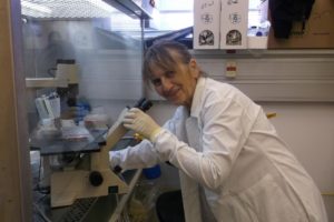 D_1_rivki ofir_stemcells_feed