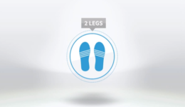 Image of Adapt, Learn, and Then Walk