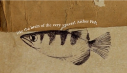 Image of Confessions of a Primitive Mind