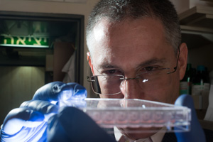 BGU's Dr. Leslie Lobel