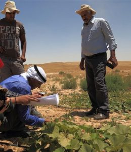 At Wadi Attir (Photo: Baltimore Jewish Times)