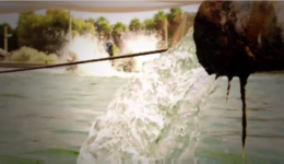 Image of Water for Life: The Zuckerberg Institute