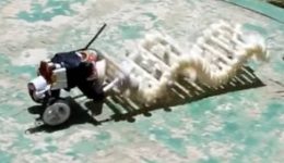 Image of This Versatile Robot Does the Wave